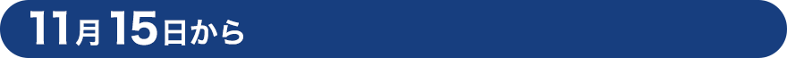 11月15日から