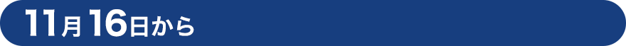 11月16日から
